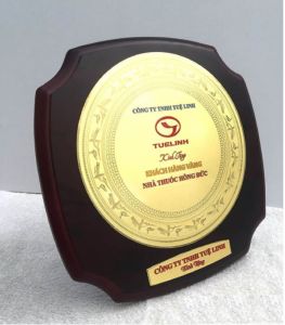 KỶ NIỆM CHƯƠNG GỖ ĐỒNG – GD020