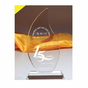 Kỷ niệm chương (8)