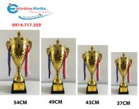 CÚP VTHỂ THAO MÃ 1