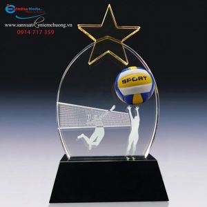 Kỷ niệm chương Bóng Chuyền 