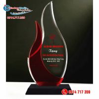 kỷ_niệm_chương (9)