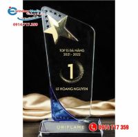 kỷ_niệm_chương (11)