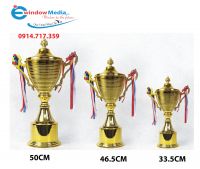 CUP THỂ THAO MÃ 6